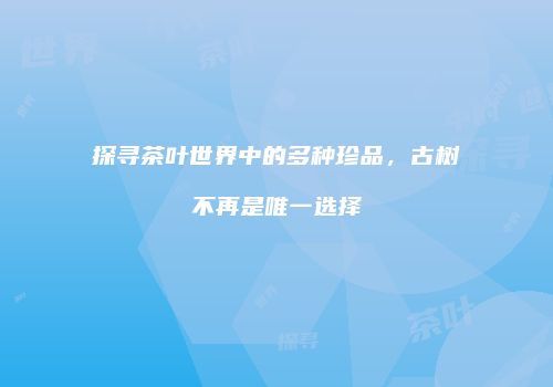 探寻茶叶世界中的多种珍品，古树不再是唯一选择