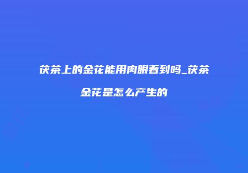 茯茶上的金花能用肉眼看到吗_茯茶金花是怎么产生的