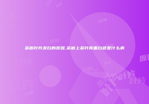 茶树叶片发白的原因,茶树上茶叶背面白色是什么病