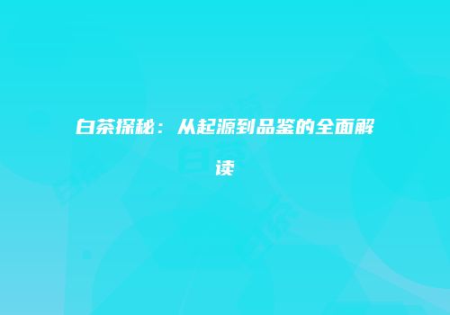 白茶探秘：从起源到品鉴的全面解读