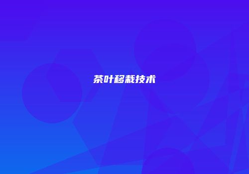 茶叶移栽技术