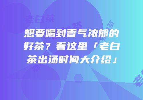 想要喝到香气浓郁的好茶？看这里「老白茶出汤时间大介绍」