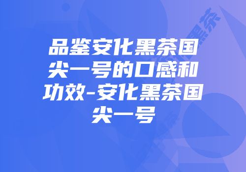 品鉴安化黑茶国尖一号的口感和功效-安化黑茶国尖一号