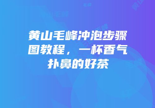 黄山毛峰冲泡步骤图教程，一杯香气扑鼻的好茶