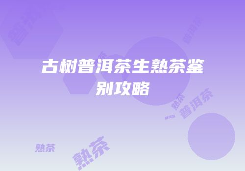 古树普洱茶生熟茶鉴别攻略