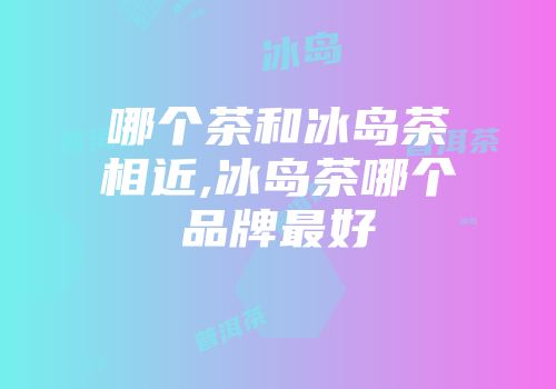 哪个茶和冰岛茶相近,冰岛茶哪个品牌最好