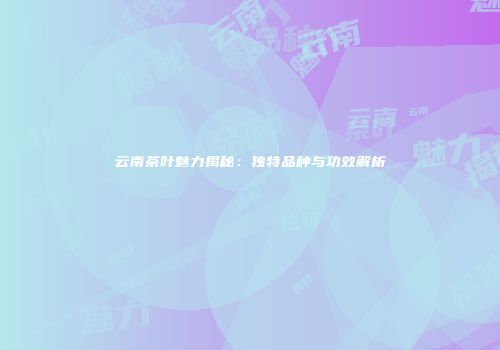云南茶叶魅力揭秘：独特品种与功效解析