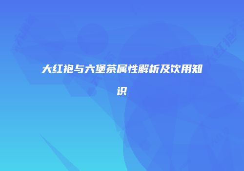 大红袍与六堡茶属性解析及饮用知识