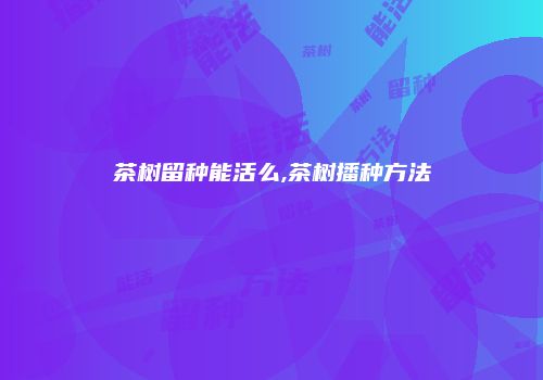 茶树留种能活么,茶树播种方法