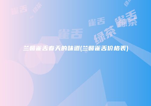 兰馨雀舌春天的味道(兰馨雀舌价格表)