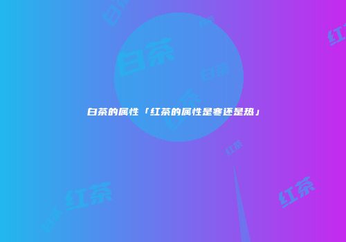 白茶的属性「红茶的属性是寒还是热」