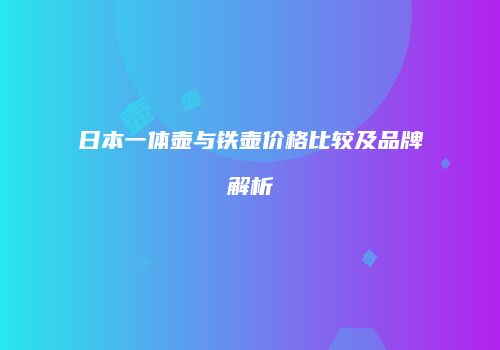 日本一体壶与铁壶价格比较及品牌解析