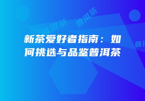 新茶爱好者指南：如何挑选与品鉴普洱茶