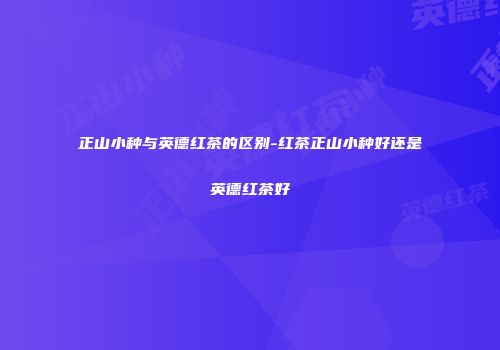 正山小种与英德红茶的区别-红茶正山小种好还是英德红茶好