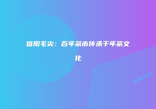 信阳毛尖：百年茶市传承千年茶文化