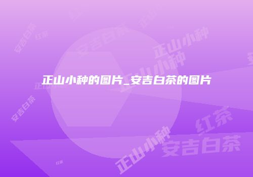 正山小种的图片_安吉白茶的图片