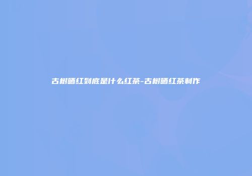 古树晒红到底是什么红茶-古树晒红茶制作