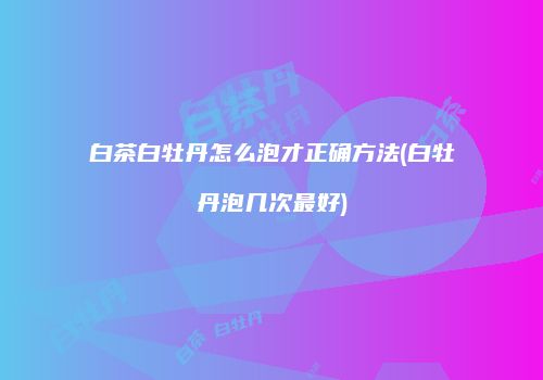 白茶白牡丹怎么泡才正确方法(白牡丹泡几次最好)