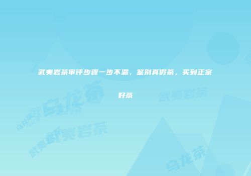 武夷岩茶审评步骤一步不漏，鉴别真假茶，买到正宗好茶