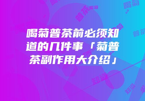 喝菊普茶前必须知道的几件事「菊普茶副作用大介绍」