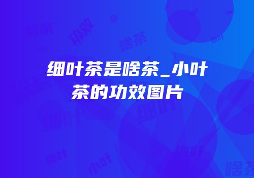 细叶茶是啥茶_小叶茶的功效图片