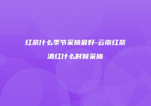 红茶什么季节采摘最好-云南红茶滇红什么时候采摘