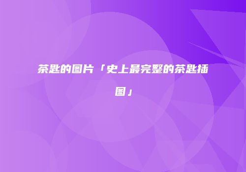茶匙的图片「史上最完整的茶匙插图」