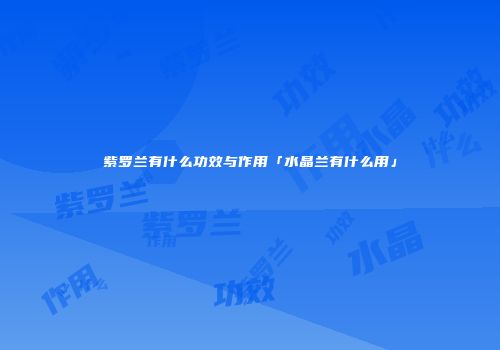 紫罗兰有什么功效与作用「水晶兰有什么用」