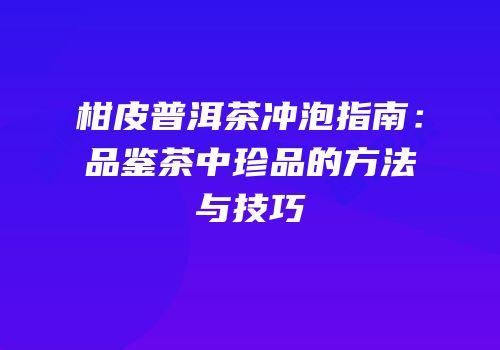 柑皮普洱茶冲泡指南：品鉴茶中珍品的方法与技巧