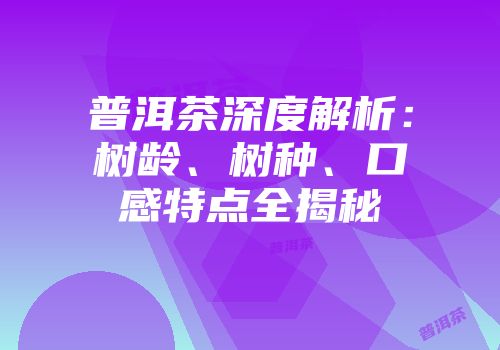 普洱茶深度解析：树龄、树种、口感特点全揭秘