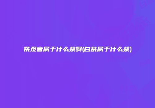 铁观音属于什么茶啊(白茶属于什么茶)