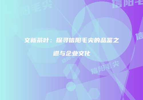 文新茶叶：探寻信阳毛尖的品鉴之道与企业文化