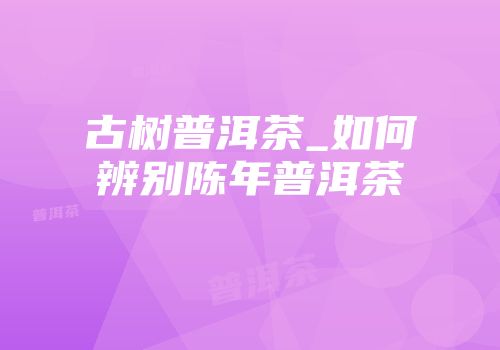 古树普洱茶_如何辨别陈年普洱茶