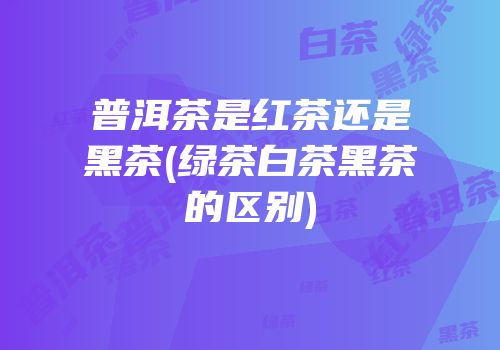普洱茶是红茶还是黑茶(绿茶白茶黑茶的区别)