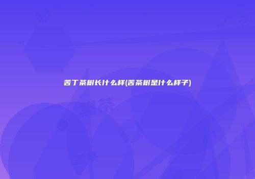 苦丁茶树长什么样(苦茶树是什么样子)