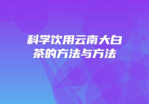 科学饮用云南大白茶的方法与方法