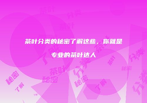 茶叶分类的秘密了解这些，你就是专业的茶叶达人