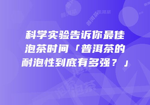 科学实验告诉你最佳泡茶时间「普洱茶的耐泡性到底有多强？」