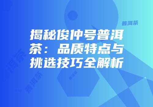 揭秘俊仲号普洱茶：品质特点与挑选技巧全解析