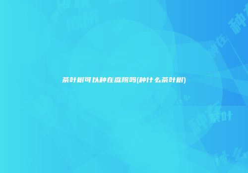 茶叶树可以种在庭院吗(种什么茶叶树)