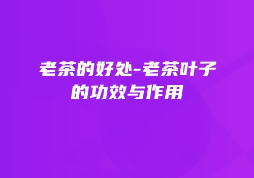 老茶的好处-老茶叶子的功效与作用