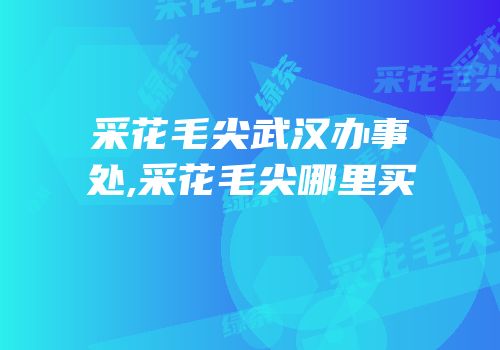 采花毛尖武汉办事处,采花毛尖哪里买