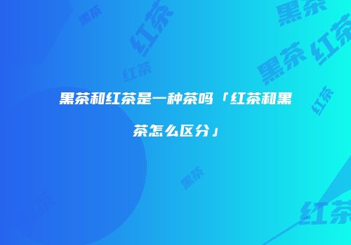 黑茶和红茶是一种茶吗「红茶和黑茶怎么区分」