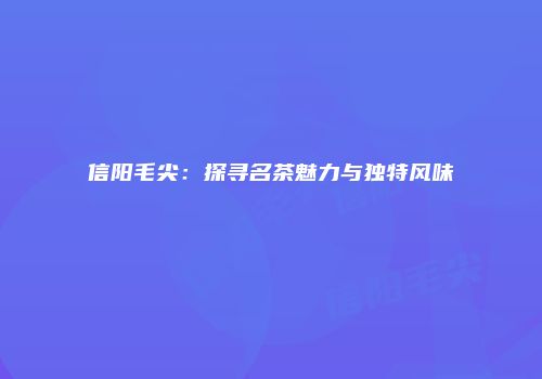 信阳毛尖：探寻名茶魅力与独特风味