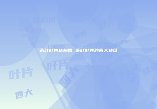 茶叶叶片结构图_茶叶叶片的四大特征