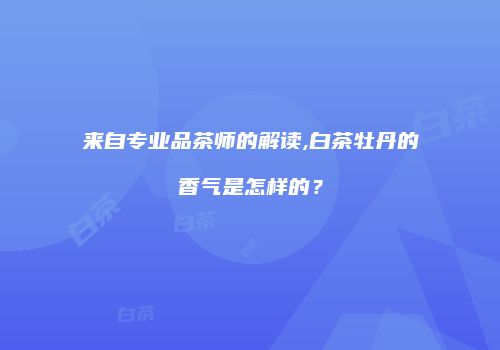 来自专业品茶师的解读,白茶牡丹的香气是怎样的？