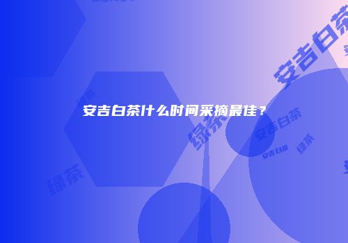 安吉白茶什么时间采摘最佳？