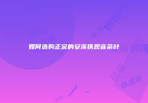 如何选购正宗的安溪铁观音茶叶