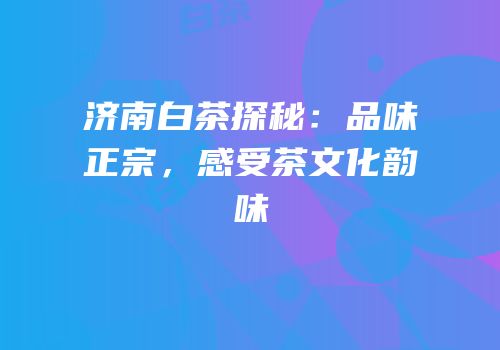 济南白茶探秘：品味正宗，感受茶文化韵味