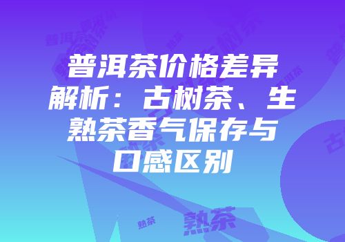 普洱茶价格差异解析：古树茶、生熟茶香气保存与口感区别